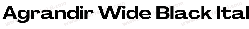 Agrandir Wide Black Italic字体转换
